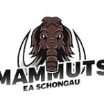 EA Schongau