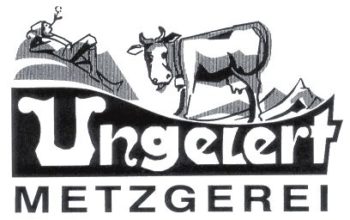 Unsere Sponsoren | Offizielle Homepage des ERC Lechbruck e.V.